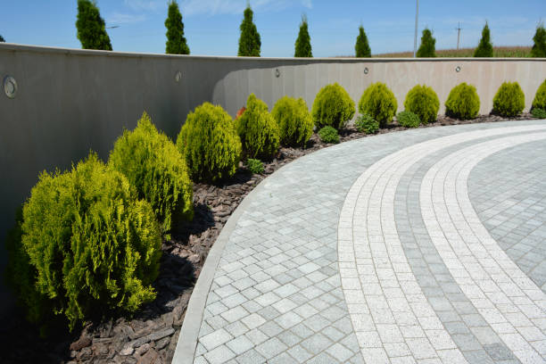 Best Best Driveway Pavers  in Watsessing, NJ